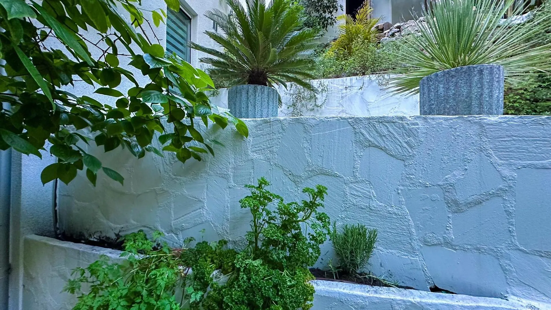 Villa Du Soleil - Cannes