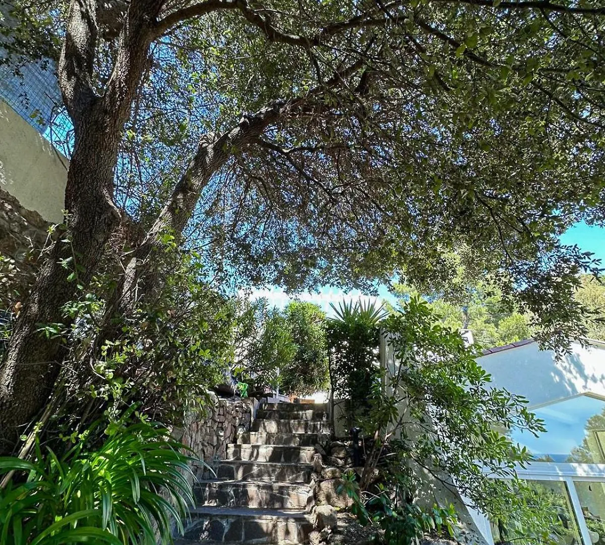 Villa Du Soleil - Cannes France
